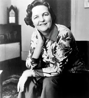 Civil Rights Prints: Civil rights activist Jessica Mitford