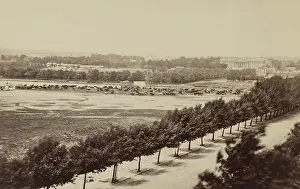 Lcgr1810 Prints: US Civil War, 1865. Cattle graze in Washington