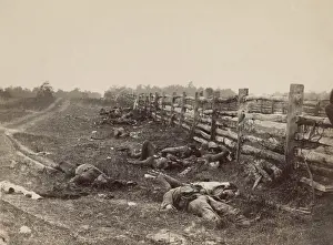 Casualties Prints: US Civil War. Battle of Antietam, also called Battle of Sharpsburg, Sept. 17, 1862