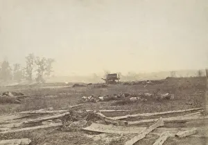 US Civil War. Battle of Antietam, also called Battle of Sharpsburg, Sept. 17, 1862. Scattered fence rails, unburied dead soldiers, and horses remain in the aftermath of battle