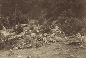 Alexander Prints: US Civil War. Battle of Gettysburg