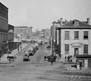 Animals Prints: US Civil War. Federal occupation of Atlanta
