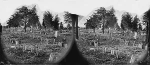 Richmond Prints: The Civil War, graves of Confederate soldiers in Hollywood Cemetery