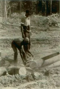 Communes Prints: Clearing Rain Forest to create fields in Jonestown