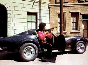 Dobson Prints: CLEOPATRA JONES, Tamara Dobson, 1973