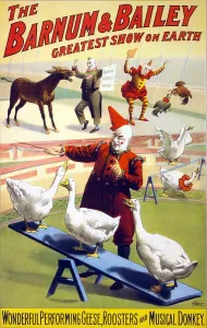 Performer Prints: Clowns perform with geese, roosters and musical donkey in Barnum & Bailey circus