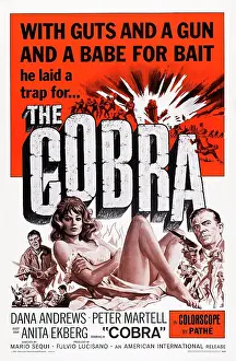 2014 Prints: THE COBRA, US poster art, Dana Andrews, Anita Ekberg (center), 1968