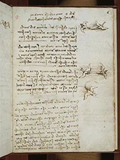 Note Prints: Codex on the Flight of Birds, by Leonardo da Vinci