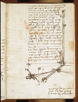 Note Prints: Codex on the Flight of Birds, by Leonardo da Vinci