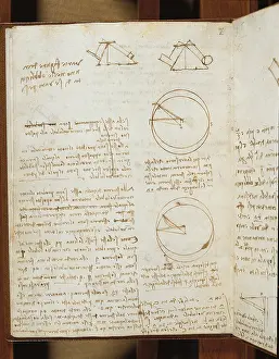 Note Prints: Codex on the Flight of Birds, by Leonardo da Vinci
