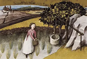 Wells Prints: Codex Granatensis: De natura rerum