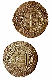 Coin Prints: Coins of the period of Gialeazzo Maria Sforza (Genoa)