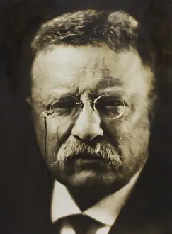 Reformer Prints: Col. Theodore Roosevelt, April 1917 by noted photographer, Pirie MacDonald