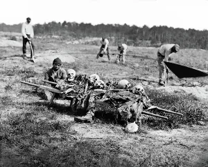 Grave Prints: Cold Harbor, Va. African Americans collecting bones of soldiers killed in the battle
