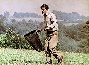 Outdoor Prints: THE COLLECTOR, Terence Stamp, 1965