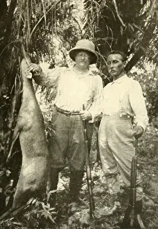 Explorers Prints: Colonels Roosevelt and Rondon with bush deer they have killed to supply the expedition with food