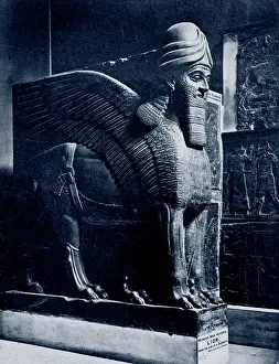 Images Dated 11th December 2007: Colossal statue of a winged lion (lamassu) from the North-West Palace of Ashurnasirpal II