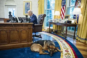 Carpet Prints: Commander, the Bidens German shepherd