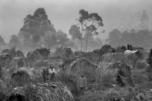 Famine Prints: CONGO, Democratic Republic of