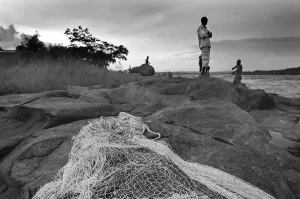 Conflicts Prints: CONGO, Democratic Republic of