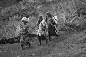 Conflicts Prints: CONGO, Democratic Republic of