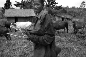 Conflicts Prints: CONGO, Democratic Republic of