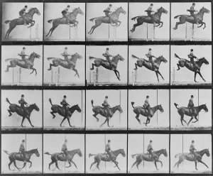 Motion Prints: Consecutive images of man riding a horse