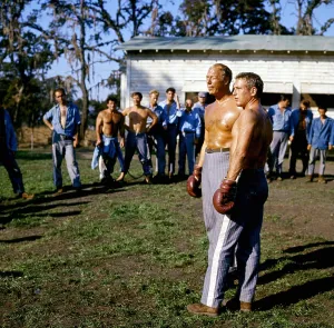 Images Dated 21st March 2006: COOL HAND LUKE, George Kennedy, Paul Newman, 1967