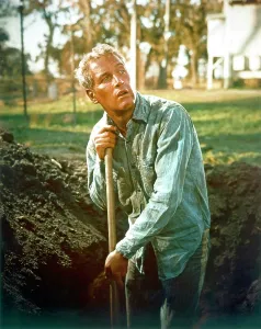 COOL HAND LUKE, Paul Newman, 1967