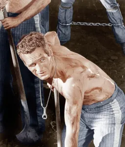 Digging Prints: COOL HAND LUKE, Paul Newman, 1967