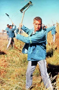Prison Uniform Prints: COOL HAND LUKE, Paul Newman, 1967