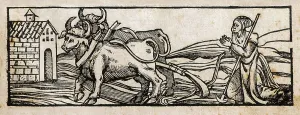 Toledo Prints: Cover of 'Libro de Agricultura' (Book of Agriculture)