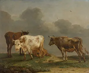 1650s Prints: Four Cows in a Meadow, by Paulus Potter