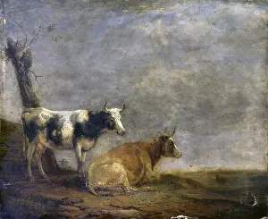 Empty Prints: Two Cows, after Paulus Potter, 1652