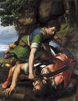 Giant Prints: COXCIE, Michel (1499-1592). SPAIN