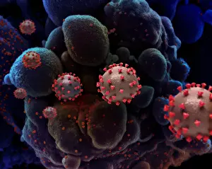 Epidemic Prints: Creative NIAID illustration of SARS-CoV-2 virus particles