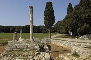Croatia Prints: CROATIA. ISTRIA. Brijuni Islands National Park