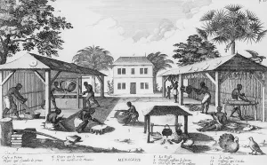 Slaves Prints: Daily life for enslaved Africans in the Caribbean included curing tobacco