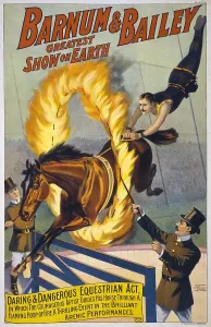 Images Dated 8th December 2008: Daring and dangerous equestrian act- a horse jumps through a flaming hoop in the Barnum & Bailey circus
