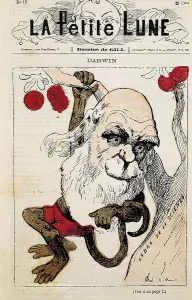 Charles Robert 1809 1882 Prints: DARWIN, Charles Robert (1809-1882)
