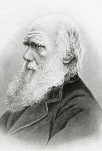 Charles Robert 1809 1882 Prints: DARWINCharles Robert (1809-1882)