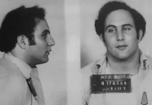 Insanity Prints: David Berkowitz (b)