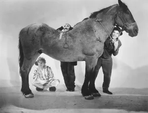 Images Dated 12th February 2016: A DAY AT THE RACES, from left: Harpo Marx, Groucho Marx, Chico Marx, 1937
