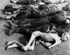 Bodies Prints: Dead prisoners found at the Nordhausen concentraton camp