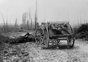 Images Dated 20th March 2013: Dead WW1 German Artilleryman and horses. 1914-18. (BSLOC_2012_4_61)