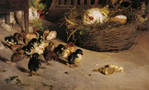 Plumage Prints: Death of a Chick (La morte del pulcino)