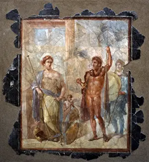 Shield Prints: Decoration of the House of the Golden Bracelet
