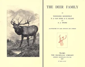 Natural History Prints: THE DEER FAMILY was first published in 1902 by Theodore Roosevelt and other contributors