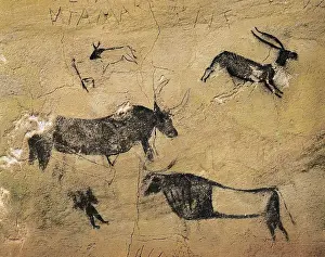Lleida Prints: Deers and cows in naturalistic-stylized style