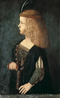 Sforza Prints: DEI CONTI, Bernardino (1450-1525)